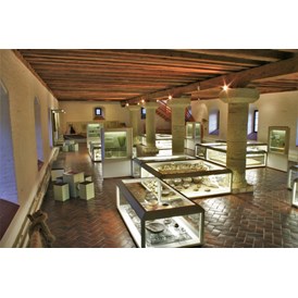 Ausflugsziel: Blick in die Dauerausstellung des Archäologischen Museums der Stadt Kelheim  - Archäologisches Museum der Stadt Kelheim