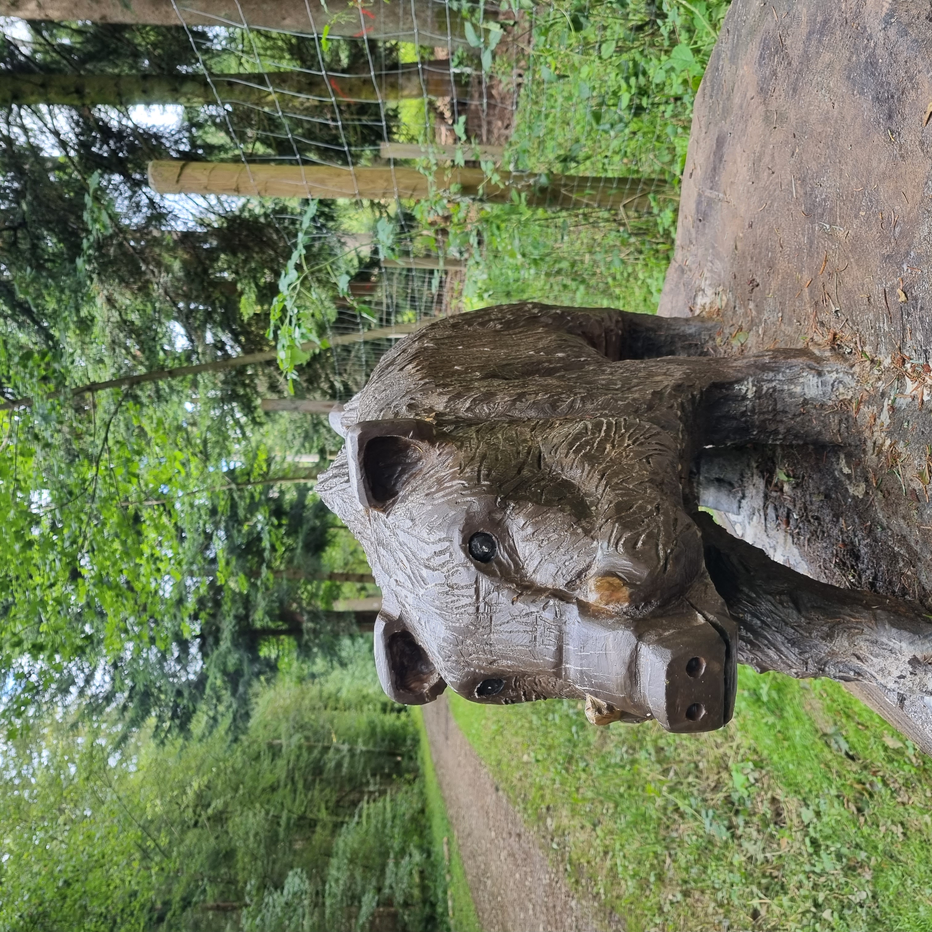 Trip with children - Ausflugsziel ist: ein Weg - Schwarzwald - Actionbound- SOS im Stadtwald- rettet Wilma Wildsau