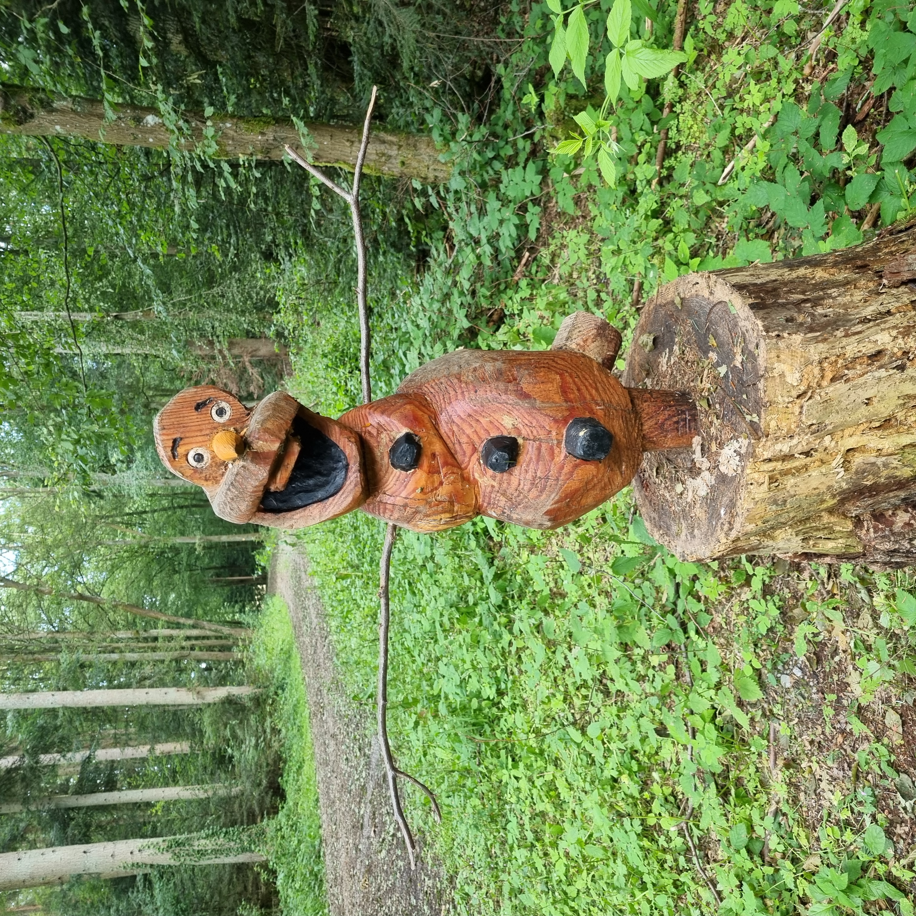 Trip with children - Ausflugsziel ist: ein Weg - Schwarzwald - Actionbound- SOS im Stadtwald- rettet Wilma Wildsau