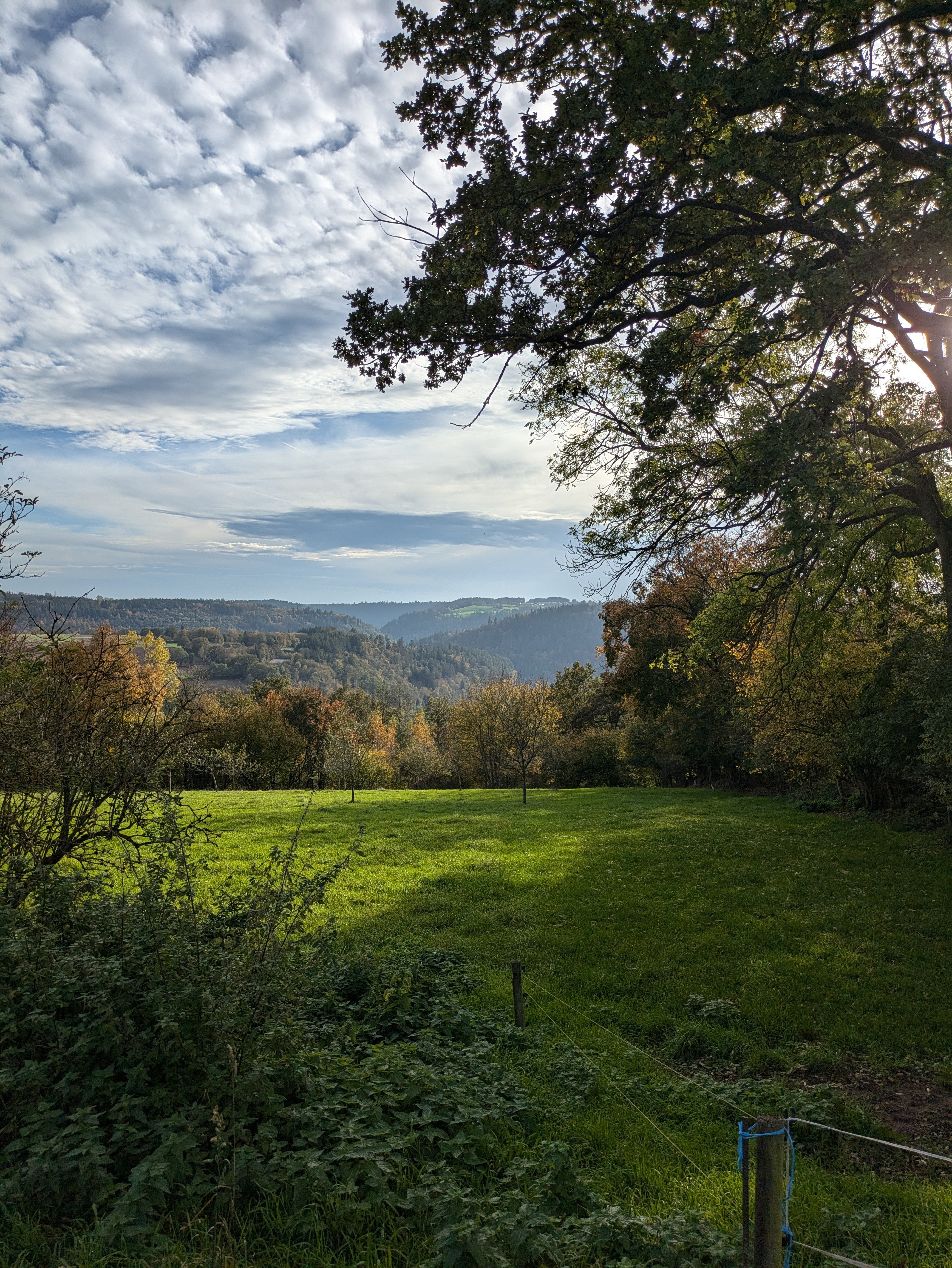 Trip with children - Baden-Baden - Actionbound- Biodiversitätspfad Heumaden