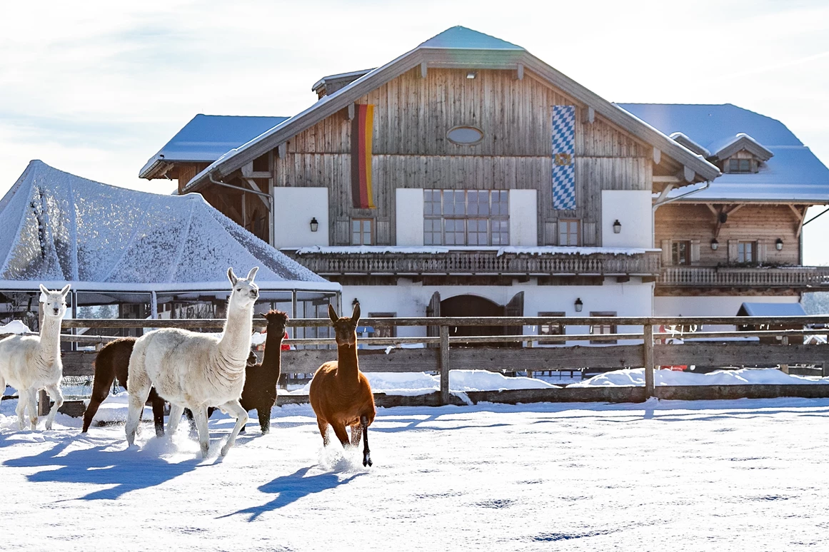 Ausflugsziel: Gut Aiderbichl Iffeldorf