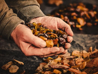 Ausflugsziel: Bernsteinmuseum