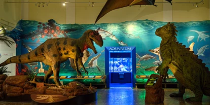 Voyage avec des enfants - PLZ 5425 (Österreich) - Haus der Natur - Museum für Natur und Technik