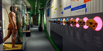 Voyage avec des enfants - PLZ 5425 (Österreich) - Haus der Natur - Museum für Natur und Technik