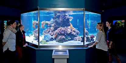 Voyage avec des enfants - PLZ 5425 (Österreich) - Haus der Natur - Museum für Natur und Technik
