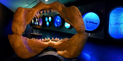 Voyage avec des enfants - PLZ 5425 (Österreich) - Haus der Natur - Museum für Natur und Technik