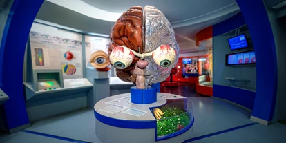 Voyage avec des enfants - PLZ 5425 (Österreich) - Haus der Natur - Museum für Natur und Technik