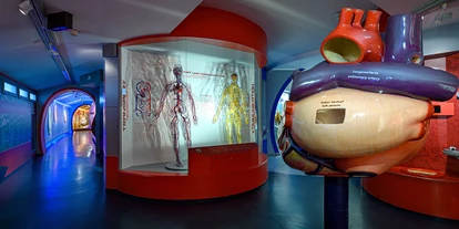 Voyage avec des enfants - PLZ 5425 (Österreich) - Haus der Natur - Museum für Natur und Technik
