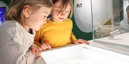 Voyage avec des enfants - PLZ 5425 (Österreich) - Haus der Natur - Museum für Natur und Technik