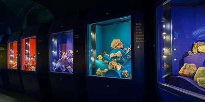 Voyage avec des enfants - PLZ 5425 (Österreich) - Haus der Natur - Museum für Natur und Technik