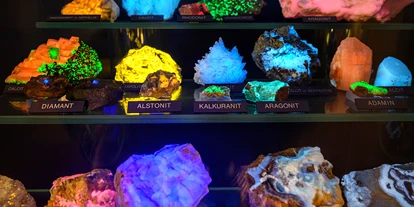 Voyage avec des enfants - PLZ 5425 (Österreich) - Haus der Natur - Museum für Natur und Technik
