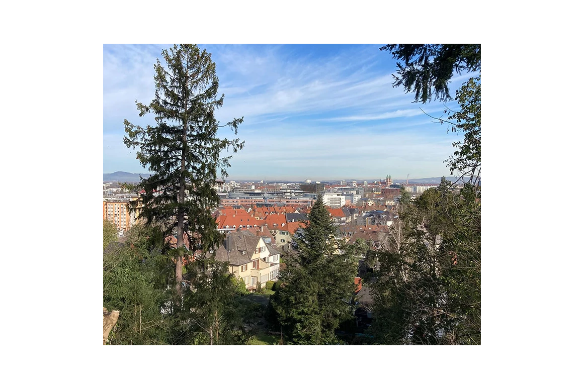 Ausflugsziel: Krimi-Trail Freiburg Wiehre