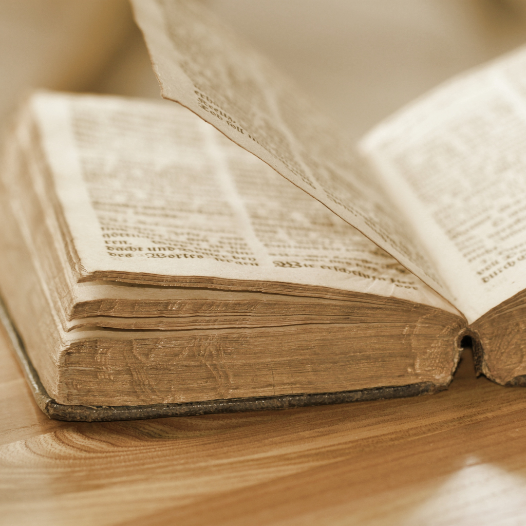 Voyage avec des enfants - Alter der Kinder: 2 bis 4 Jahre - Germering - Sudetendeutsches Institut