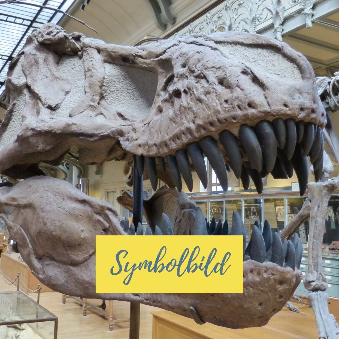 Ausflug mit Kindern - Marktl (Landkreis Altötting) - Heimatmuseum