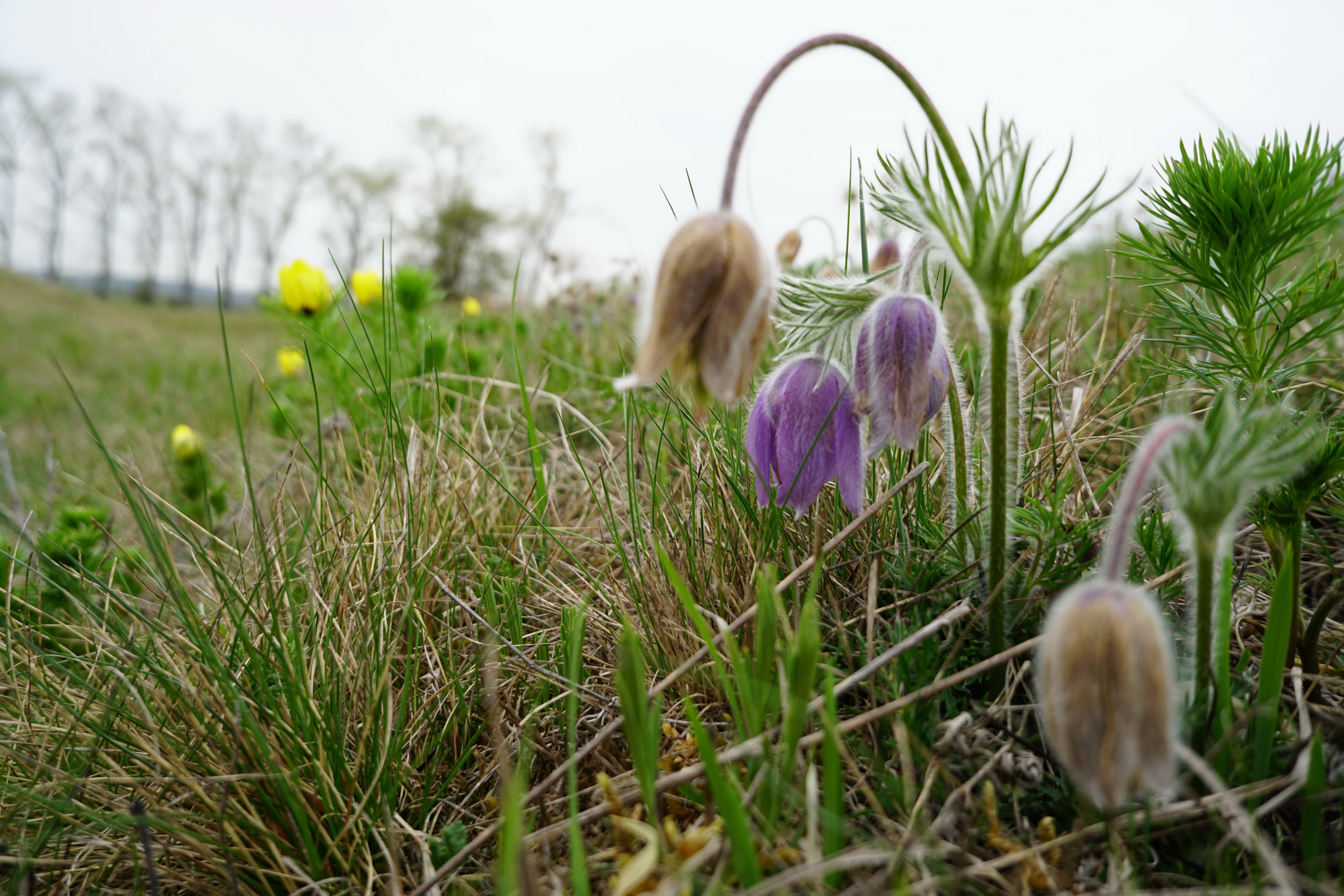 Ausflugsziel: Gipsinformationszentrum Sulzheim