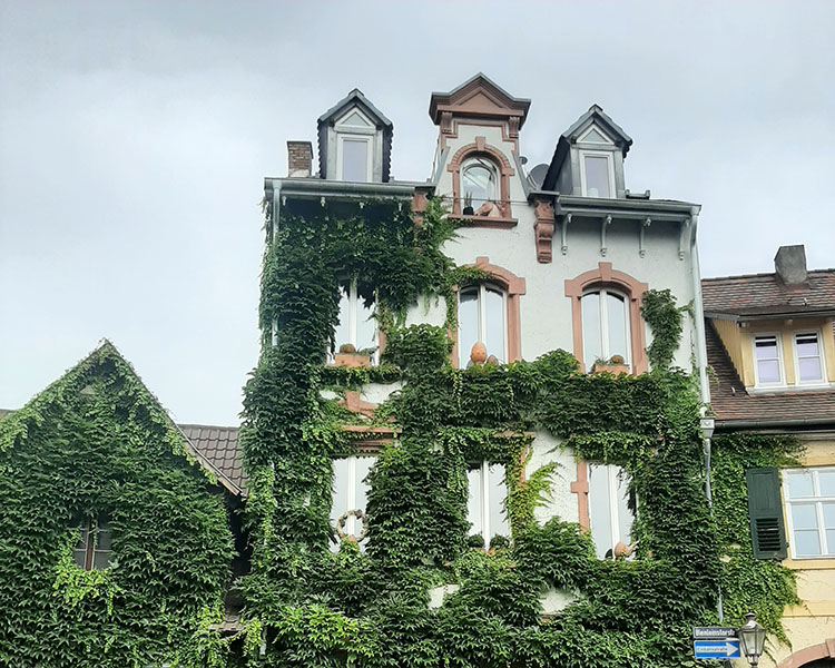 Reis met kinderen - Landau in der Pfalz - Krimi-Trail Karlsruhe: Der Tod des Künstlers