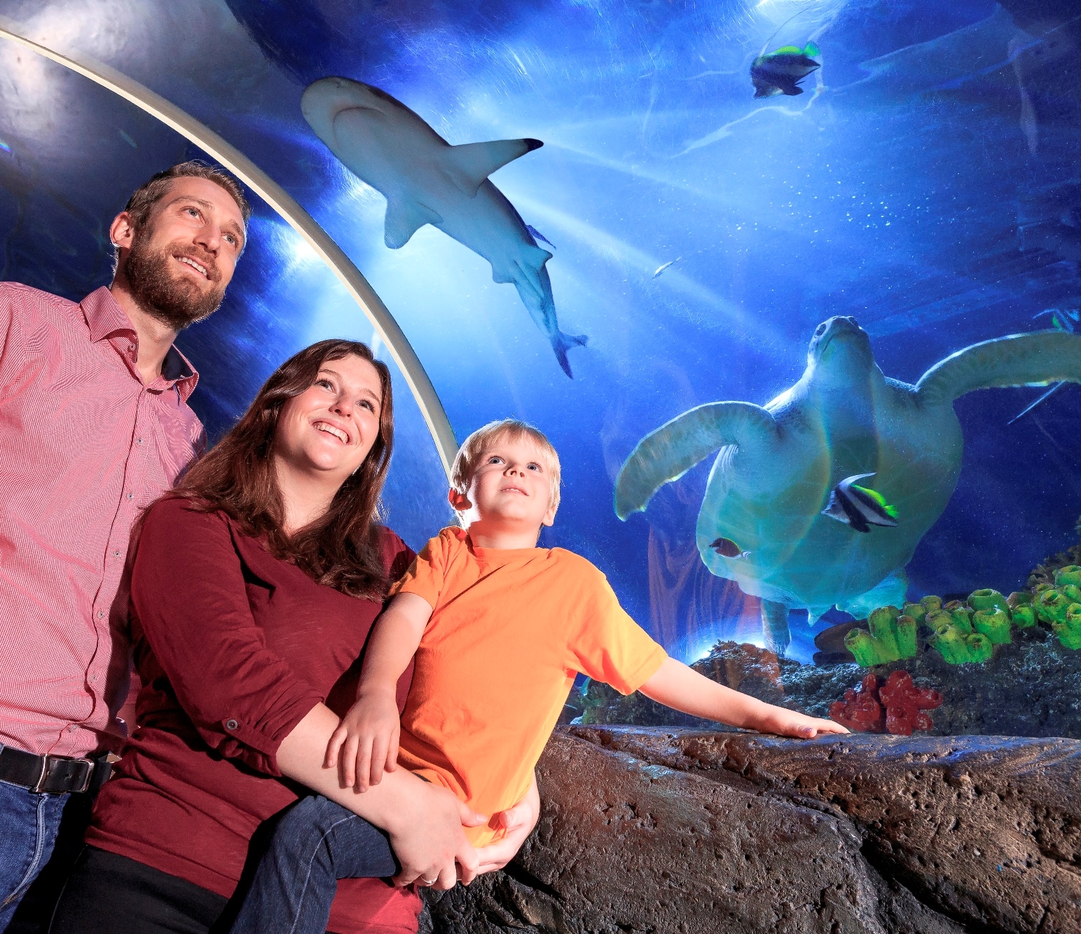 Trip with children - Högsdorf - SEA LIFE Timmendorfer Strand