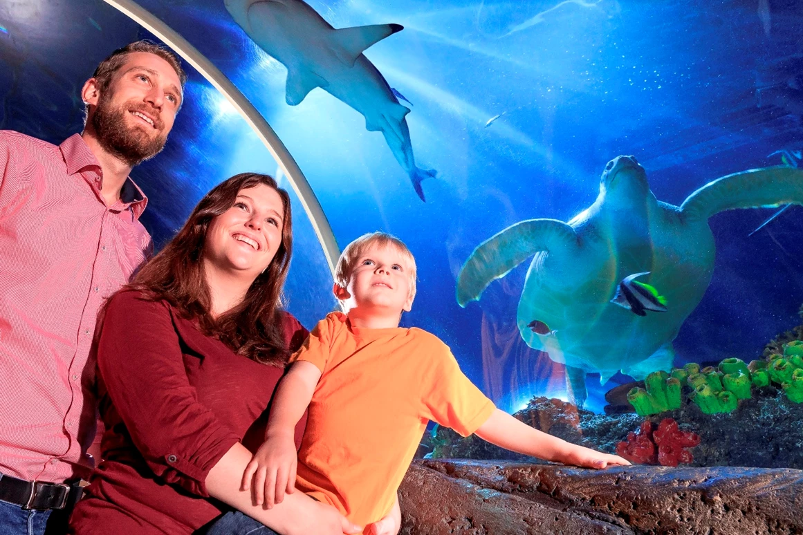 Ausflugsziel: SEA LIFE Timmendorfer Strand