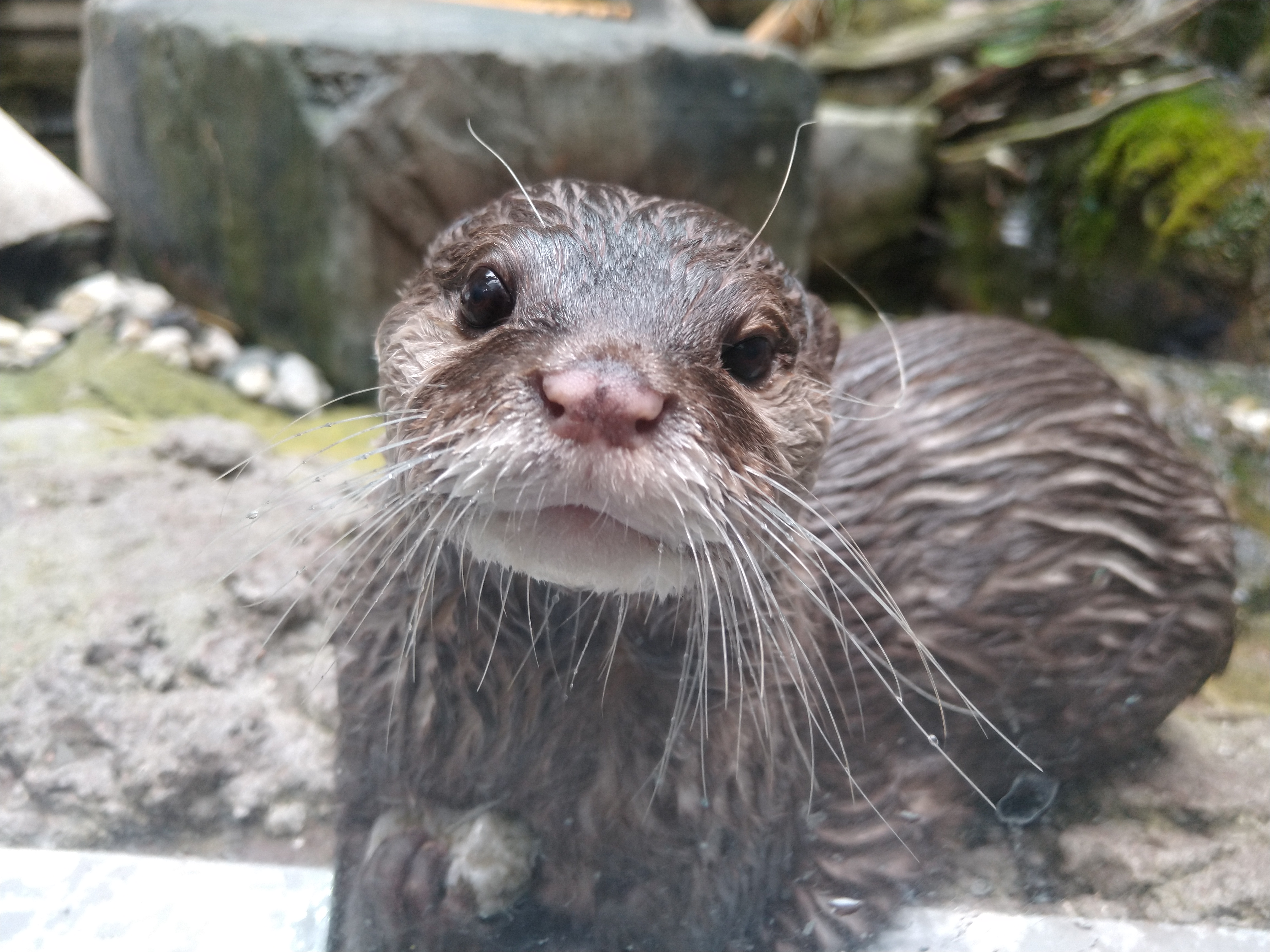 Trip with children - Högsdorf - SEA LIFE Timmendorfer Strand