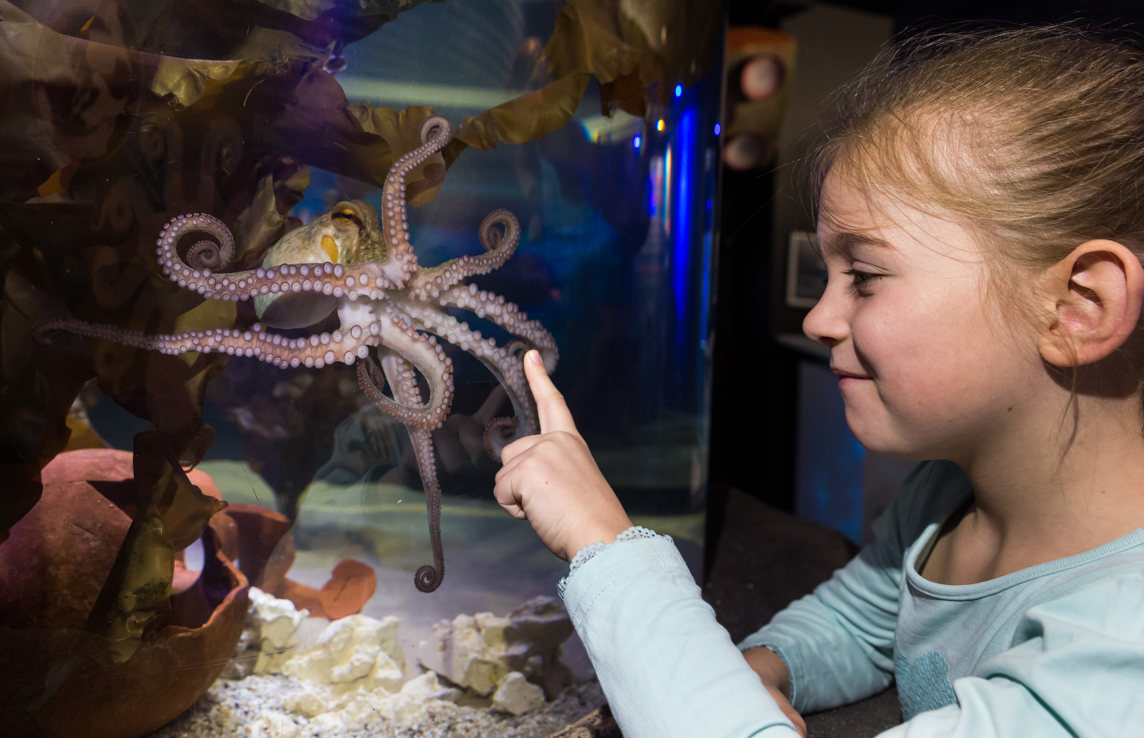 Trip with children - Högsdorf - SEA LIFE Timmendorfer Strand