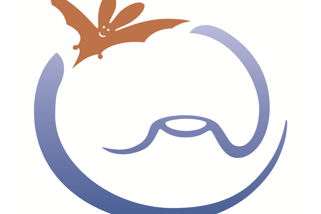 Ausflugsziel: Das Schulerloch-Logo - Tropfsteinhöhle Schulerloch
