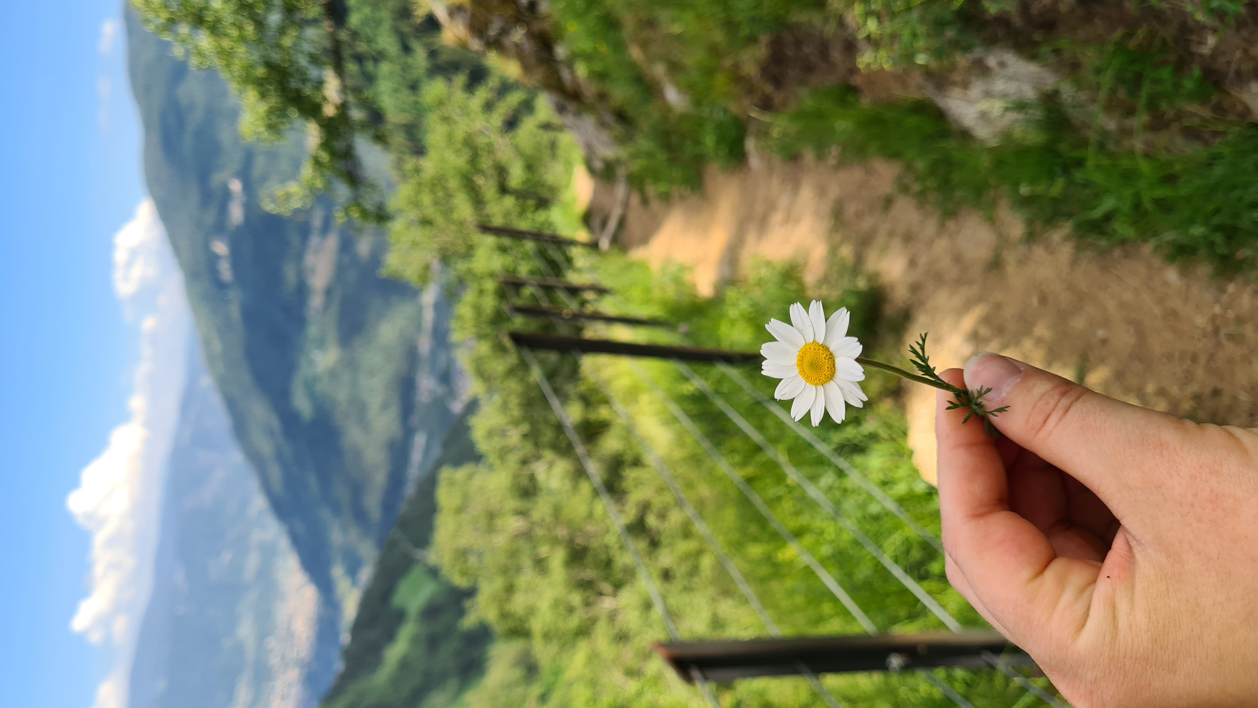 Ausflugsziel: Alpinsteig Wasserfall
