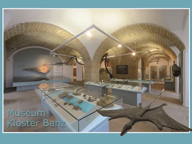 Ausflugsziel: Petrefaktensammlung  - Museum Kloster Banz