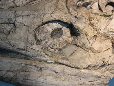 Ausflugsziel: Museum Kloster Banz