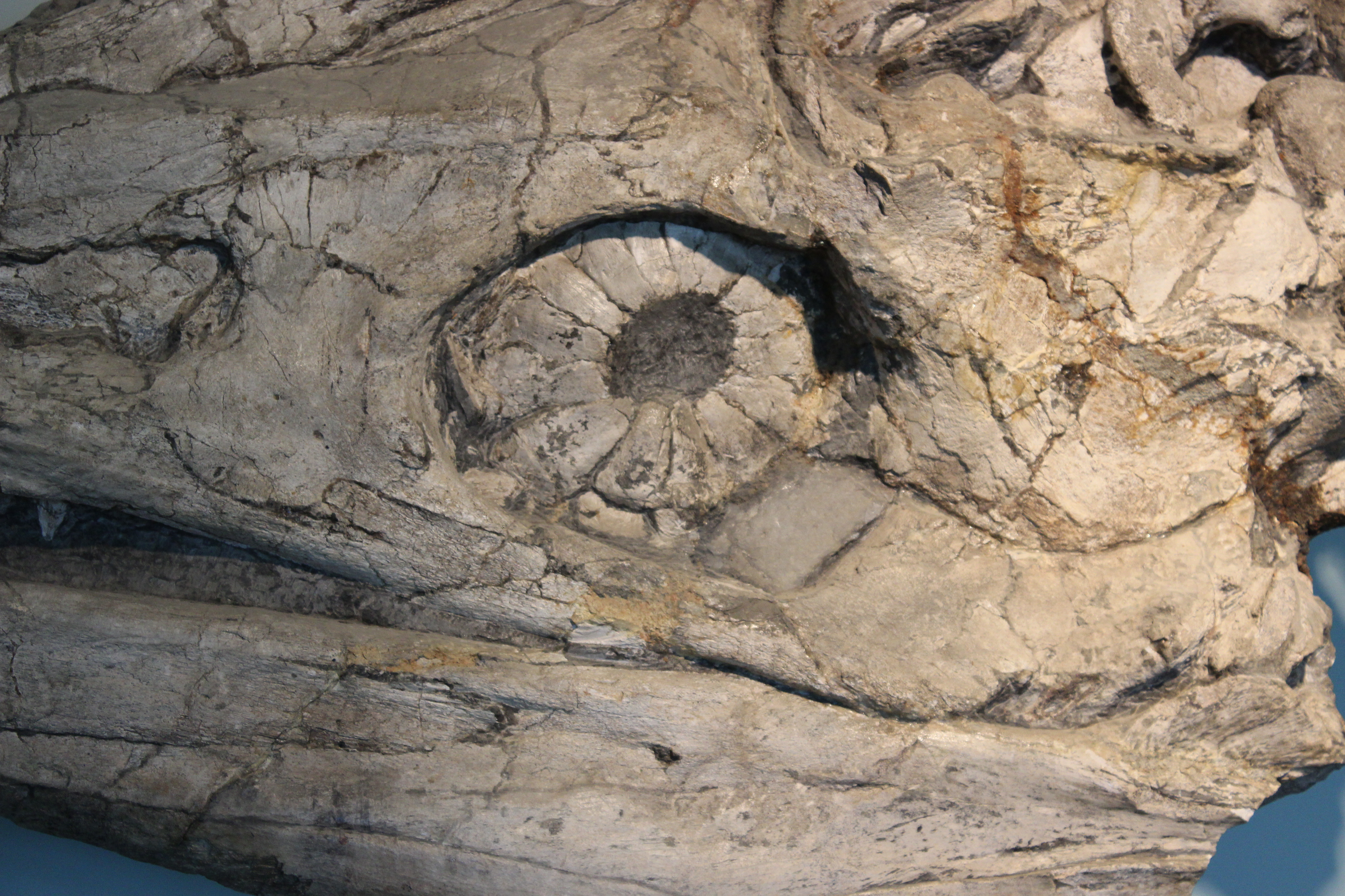 Ausflugsziel: Museum Kloster Banz