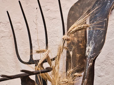 Ausflugsziel: Symbolbild für Ausflugsziel Bauernhausmuseum Lindberg. Keine korrekte oder ähnlich Darstellung! - Bauernhausmuseum Lindberg