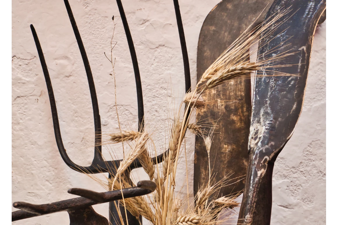 Ausflugsziel: Symbolbild für Ausflugsziel Bauernhausmuseum Lindberg. Keine korrekte oder ähnlich Darstellung! - Bauernhausmuseum Lindberg