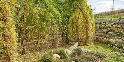 Voyage avec des enfants - Parkmöglichkeiten - Großbreitenbach - Abenteuerwald Feenweltchen