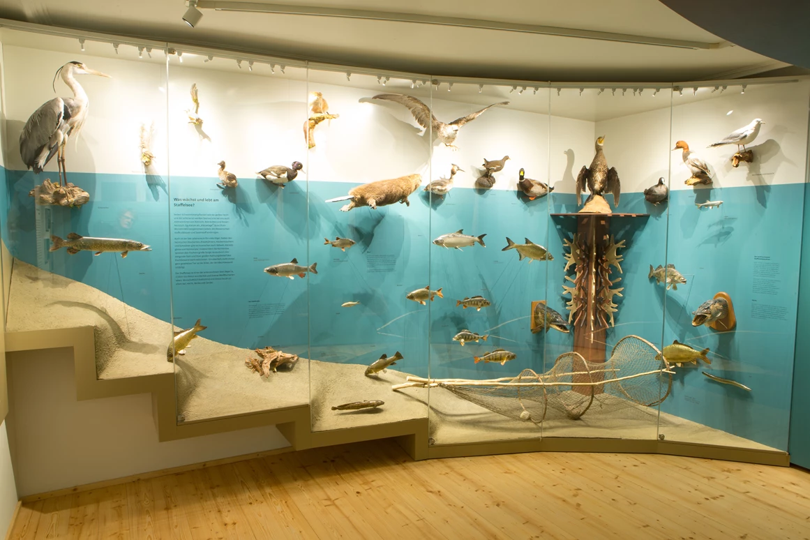 Ausflugsziel: Staffelseeraum - Staffelseemuseum