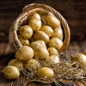Ausflugsziel: Das Kartoffelmuseum