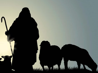 Ausflugsziel: Schäfertanz-Kabinett