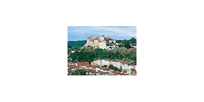 Voyage avec des enfants - PLZ 84513 (Deutschland) - Burg mit Staatlichem Burgmuseum