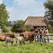 Ausflugsziel - Schwäbisches Bauernhofmuseum Illerbeuren
