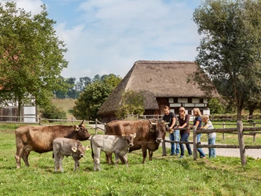 Ausflugsziel: Schwäbisches Bauernhofmuseum Illerbeuren