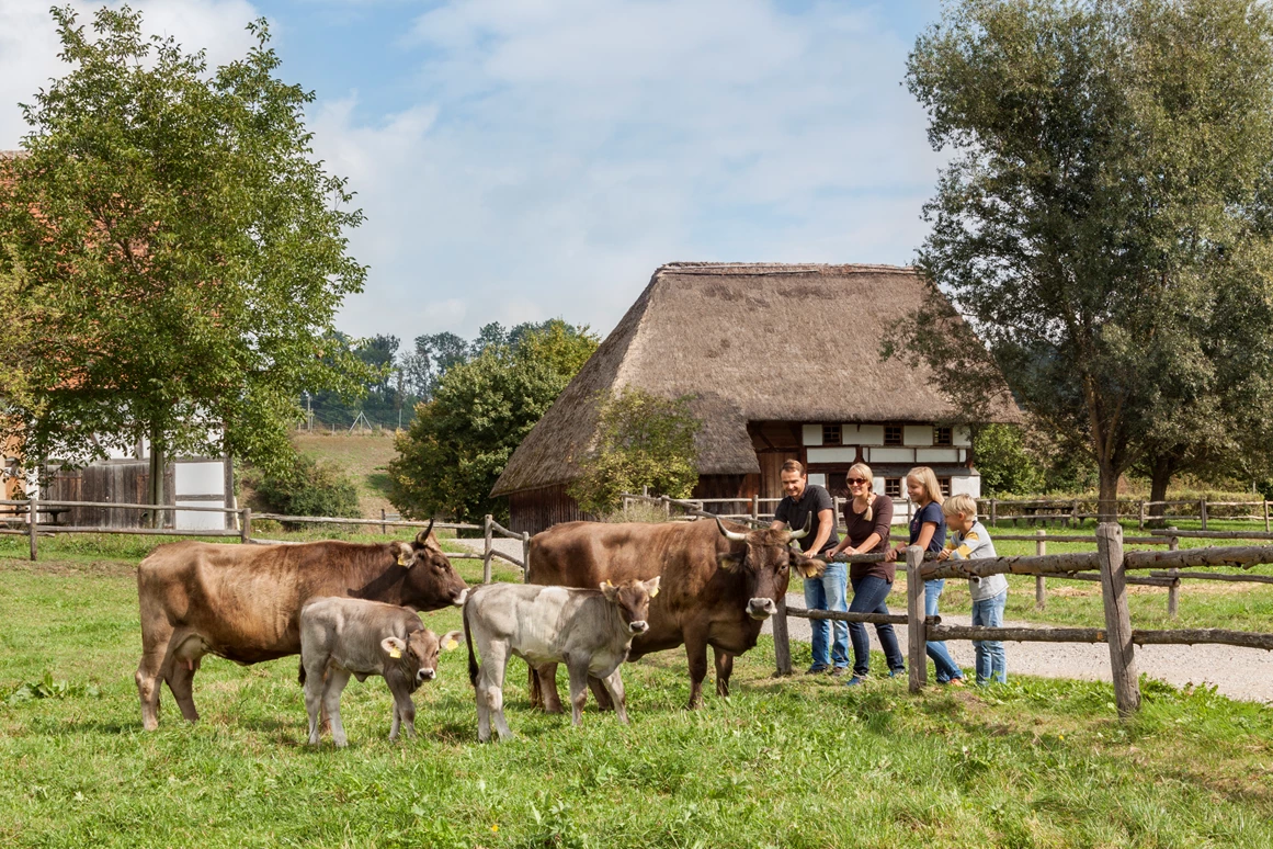 Ausflugsziel: Schwäbisches Bauernhofmuseum Illerbeuren