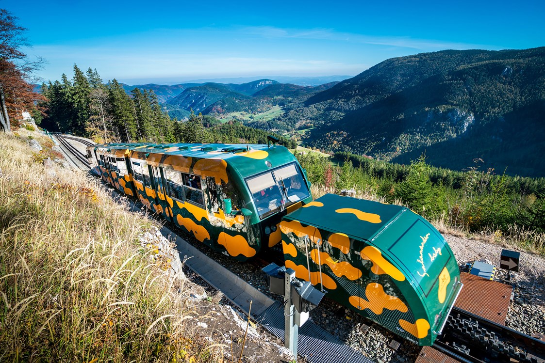 Ausflugsziel: Der Salamander-Zug der Schneebergbahn - Schneebergbahn