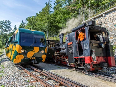 Ausflugsziel: Dampfzug und Salamander-Zug - Schneebergbahn