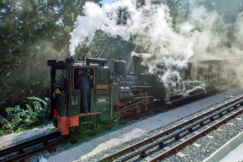 Ausflugsziel: Der Dampfzug - Schneebergbahn