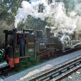 Ausflugsziel: Der Dampfzug - Schneebergbahn
