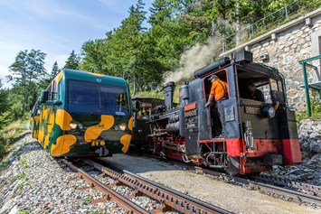 Ausflugsziel: Schneebergbahn