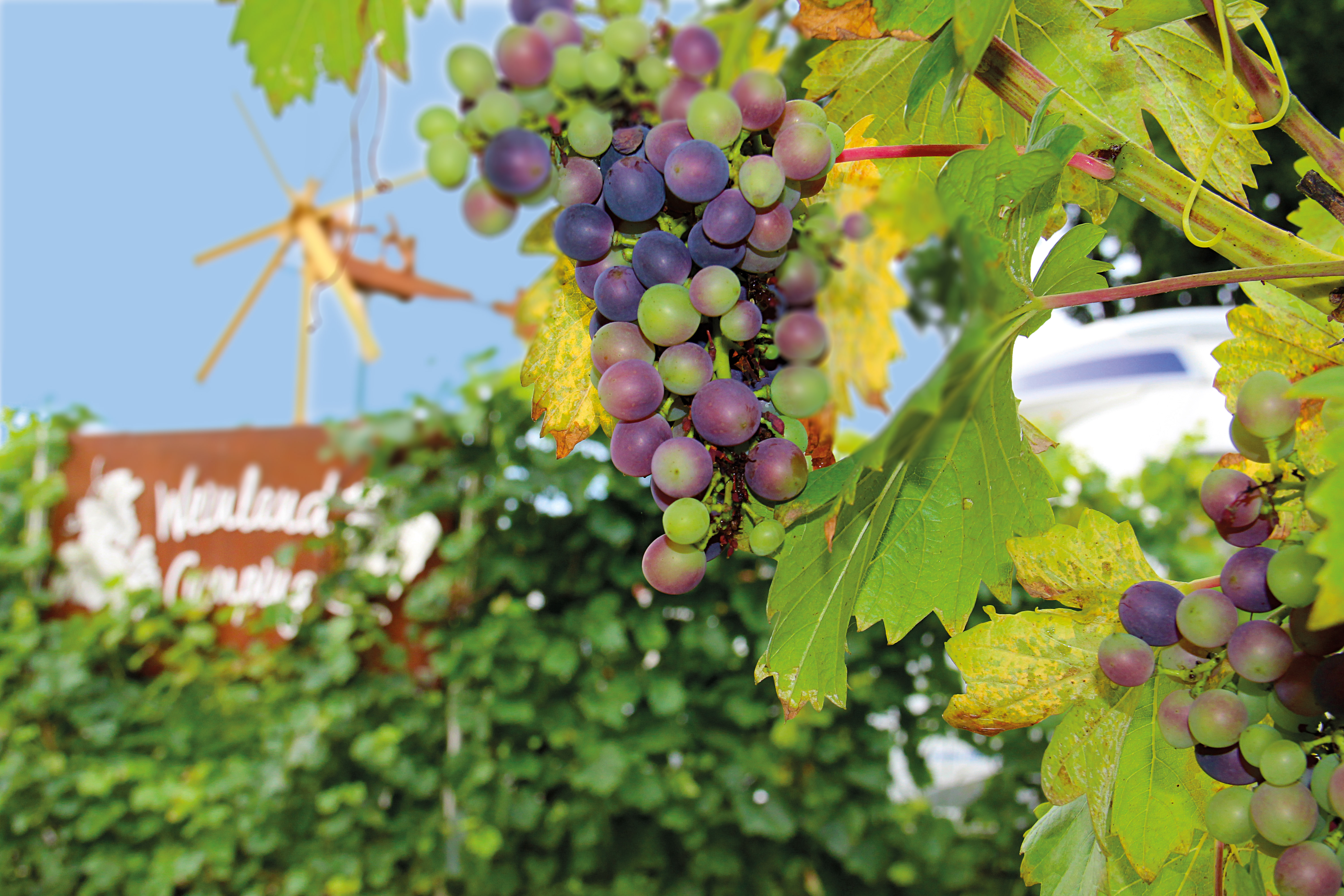 Ausflugsziel: Camping Naturbadesee Gleinstätten