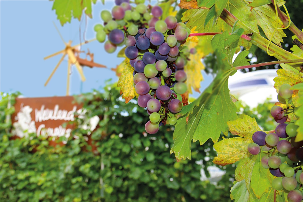 Ausflugsziel: Camping Naturbadesee Gleinstätten