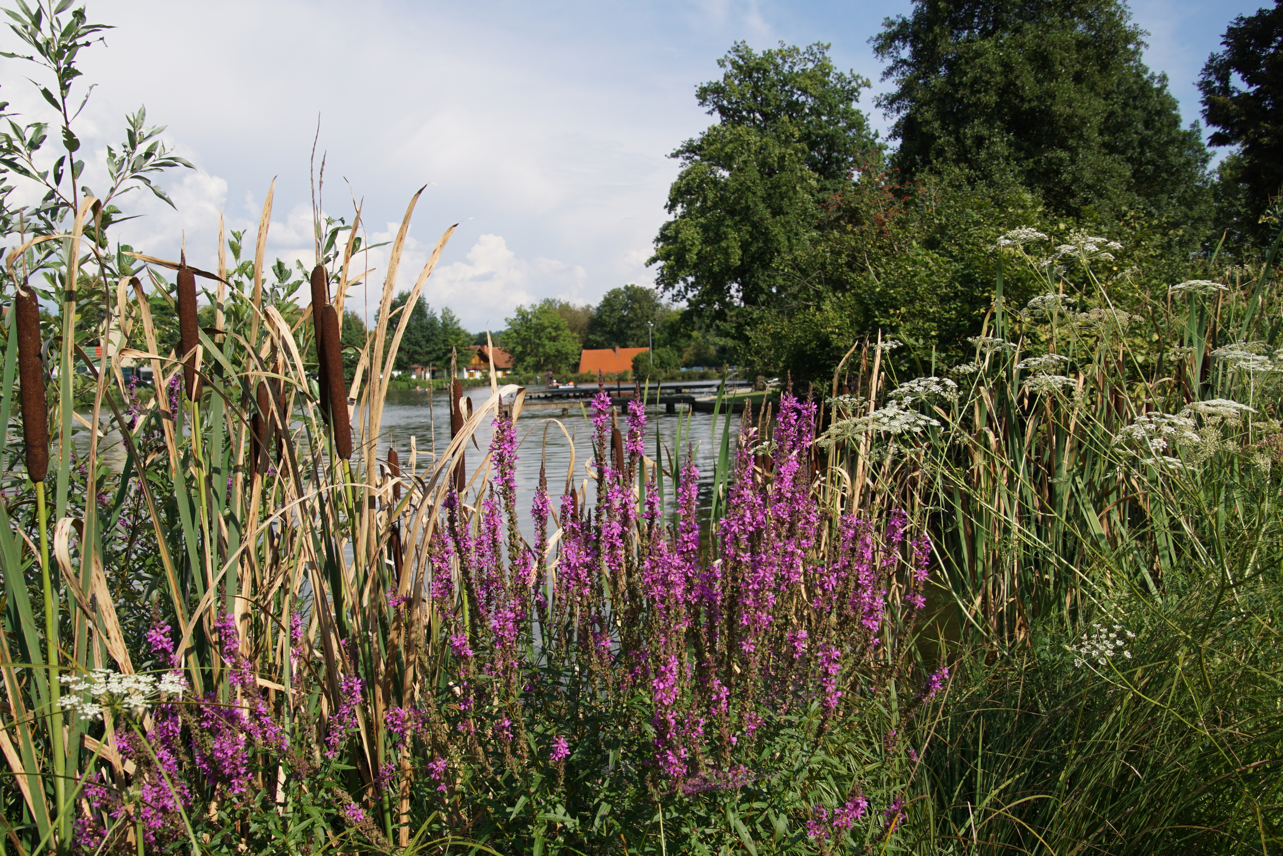 Ausflugsziel: Camping Naturbadesee Gleinstätten