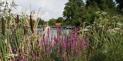 Viaggio con bambini - Edelsbach bei Feldbach - Camping Naturbadesee Gleinstätten