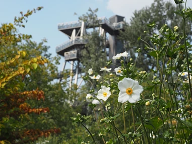 Ausflugsziel: DIE GARTEN TULLN