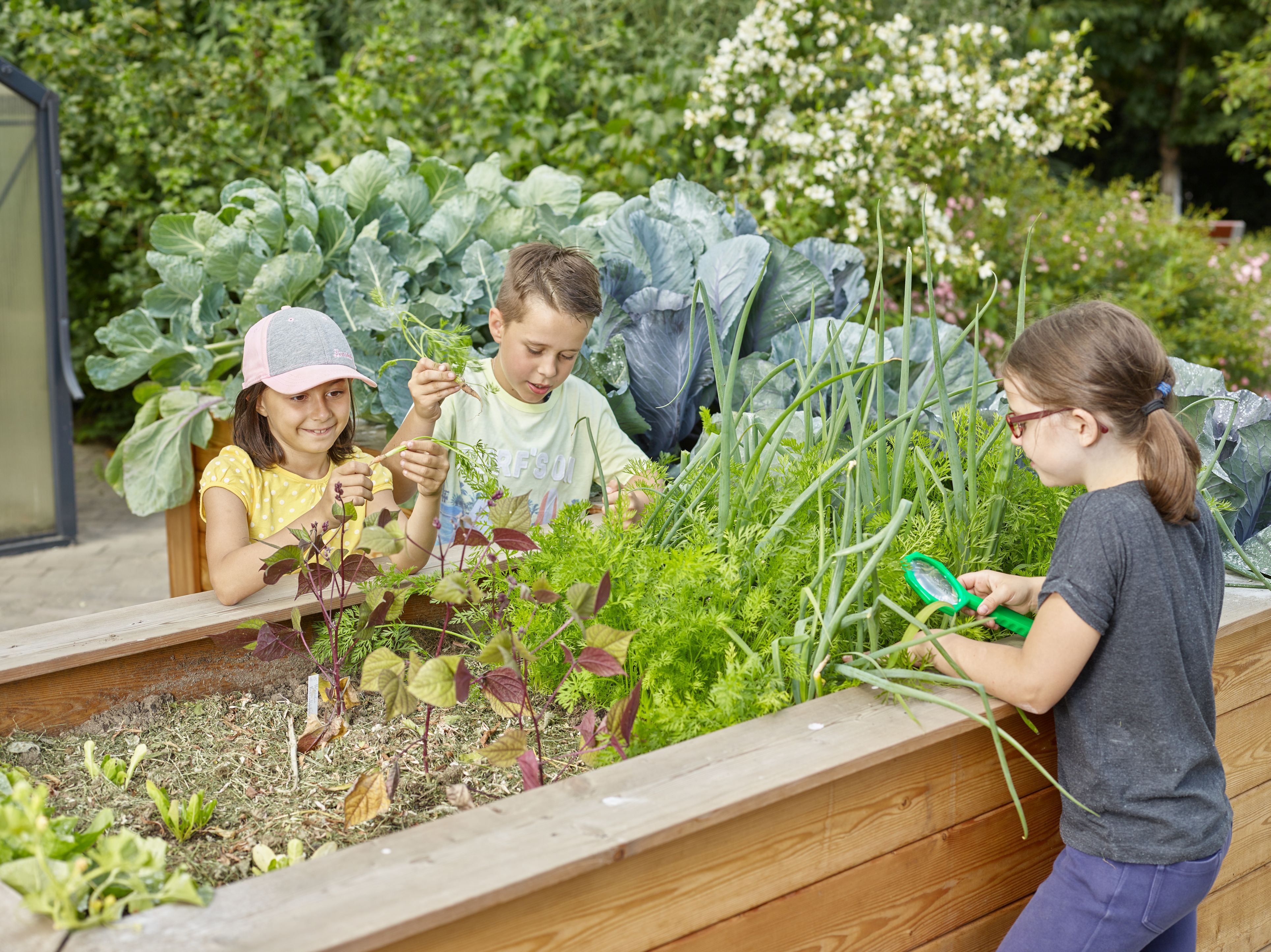 Ausflugsziel: DIE GARTEN TULLN